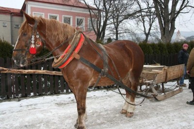 Kulig przedszkolaków