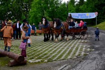 Velká fotogalerie ze Dne dětí 2013