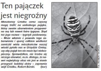 Ten pajączek jest niegroźny (Głos Ludu 1. 9. 2015)