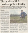 Tlupy divočáků pustoší pole a louky (Hutník 30. 3. 2016)