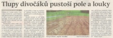 Tlupy divočáků pustoší pole a louky (Hutník 30. 3. 2016)