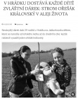 V HRÁDKU DOSTÁVÁ KAŽDÉ DÍTĚ ZVLÁŠTNÍ DÁREK: STROM OŘEŠÁK KRÁLOVSKÝ V ALEJI ŽIVOTA (Patriot 5. 4. 2016)