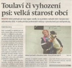 Toulaví či vyhození psi: velká starost obcí (Hutník 18. 5. 2016)