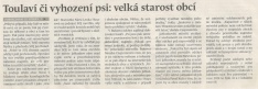 Toulaví či vyhození psi: velká starost obcí (Hutník 18. 5. 2016)