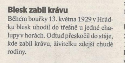 Bles zabil krávu (Horizont 31. 5. 2016)