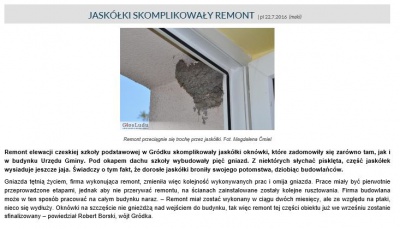 Jaskółki skomplikowały remont  (Głos Ludu 22. 7. 2016)