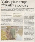 Vydra plundruje rybníky a potoky (Hutník 16. 11. 2016)