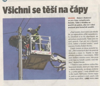 Všichni se těší na čápy (Horizont 14. 3. 2017)