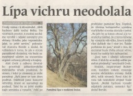 Lípa stála šest století - vichřici neodolala (Hutník 1. 11. 2017)